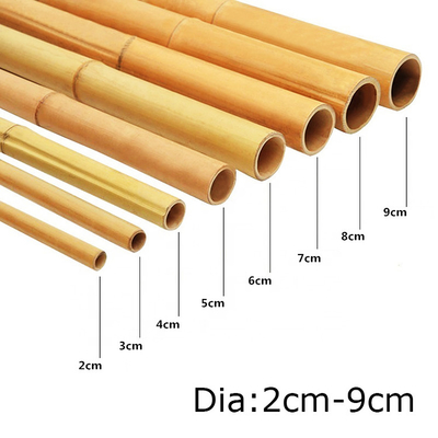 100% Natural Yellow Bamboo Pole 90cm To 595cm Plant Garden Stakes