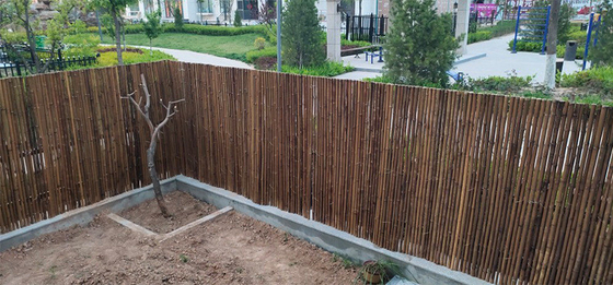 Natural Handmade 1.5x1.5m Decorative Bamboo Fence Backyard Rolling Fencing