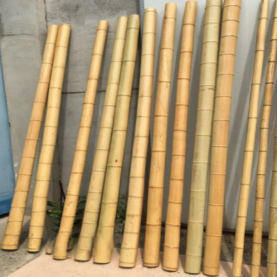 Garden Furniture Natural  Bamboo Poles Stakes Straight For Garden Plant Length 16cm