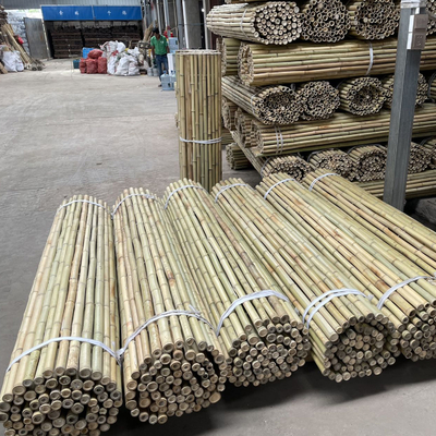 Natural Garden Bamboo Sticks For Indoor Outdoor Tomatoes Potted Plants Support Stakes