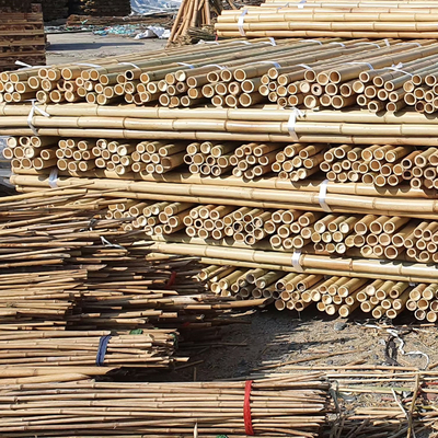 Eco Friendly 3 Inch Moso Bamboo Pole Bamboo Stakes For Plant Decoration Yellow