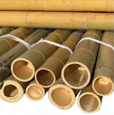 Straight Bamboo Tree Stakes Large Nature Raw Bamboo Poles For Decoration Length 300cm