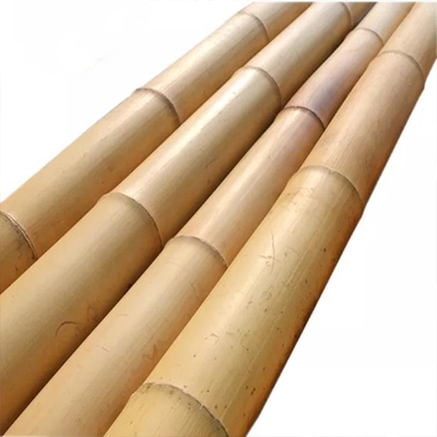Strong Bamboo Pole – Perfect for DIY Projects, Supports, and Decor