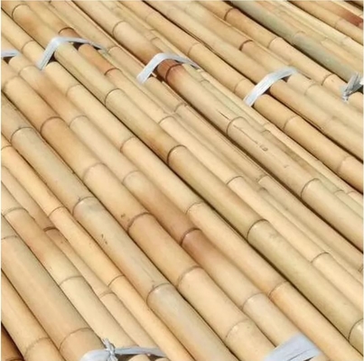 Natural Moso Bamboo Pole Sturdy & Eco-Friendly For Garden