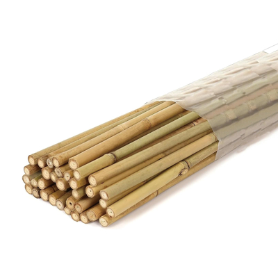 Garden Bamboo Stake Support for Plants & Climbers