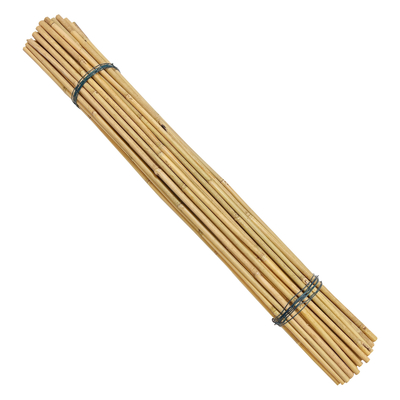 Bamboo Canes Tomato Beans Potted Plants for Indoor and Outdoor Plants Support