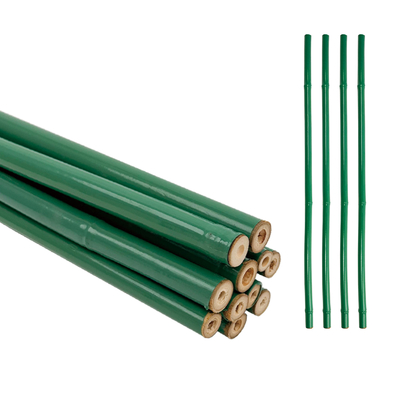 Weatherproof Plastic Covered Bamboo Stake for gardening/outdoor use