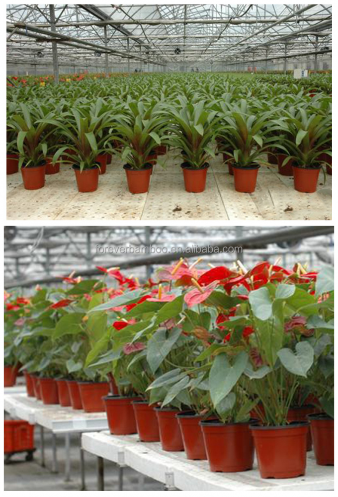 Professional Popular Garden Supplies Flowerpot Transplant Plastic Flower Pot 1